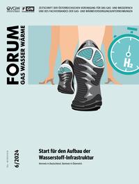 Ausgabe 2024/6